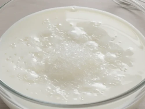 Gelatin blooming in milk before being added to the panna cotta mixture, an essential preparation step.